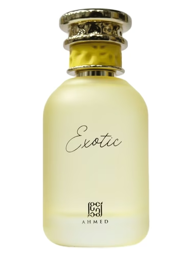Exotic Ahmed Al Maghribi
